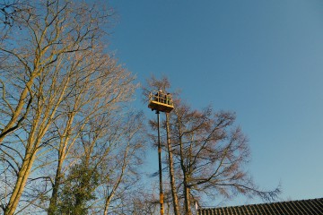 bomen snoeien hoogwerker