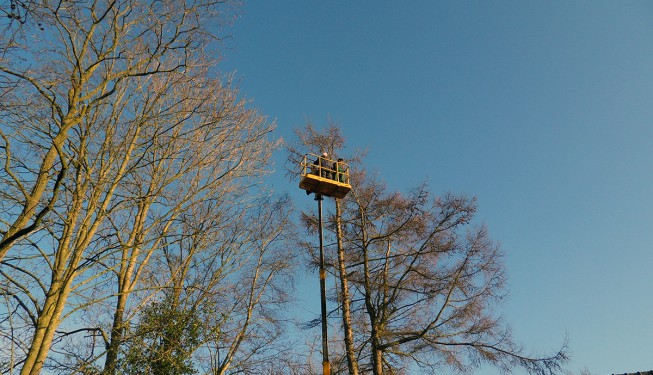 bomen snoeien hoogwerker