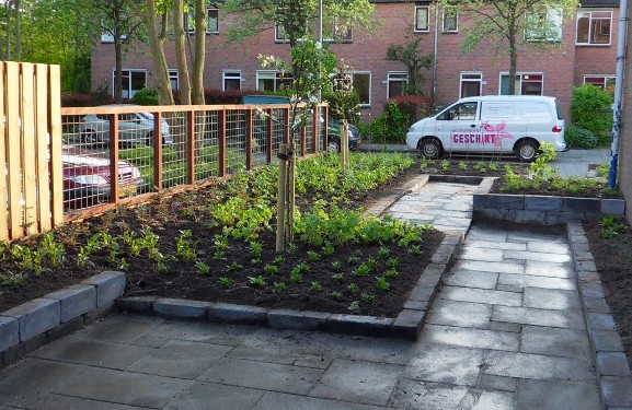 Strakke tuin met veel bloeiende planten, groningen