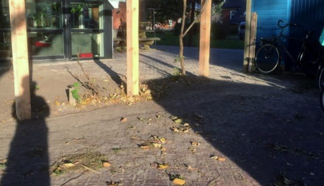 tuinrenovatie Groningen, pergola lariks